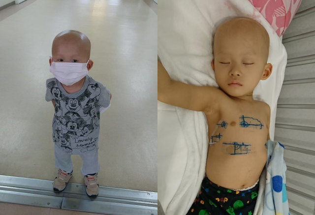 りくちゃんと桜