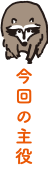 今日の主役