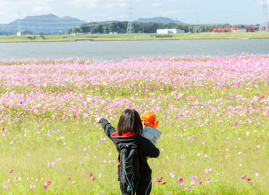 にこりのイメージ