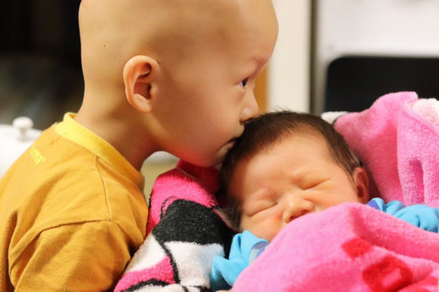 りくちゃんと桜